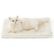 파스텔펫 반려동물 베이직 극세사 보온매트, 아이보리, 1개