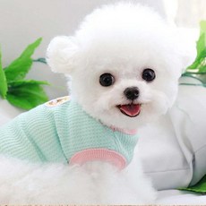 petit dog 寵物 From Dang Gom 狗狗熊 T恤 DT078, 薄荷綠, 1個