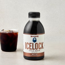 훔볼트 마몬 ICE LOCK 콜롬비아 디카페인 콜드브루 RTD, 1개, 500ml