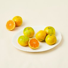 올푸릇 GAP 인증 저탄소 하우스 감귤, 1개, 500g