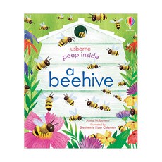 Usborne Peep Inside : a Beehive, Usborne Publishing