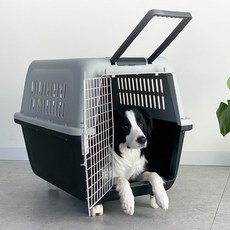 Dingdong Pet 寵物航空箱, 1個, 黑色