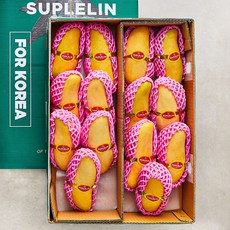 수플린 태국산 마하차녹 망고, 4.7kg(14~16입), 1개