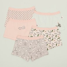 Scoxx 女款森林風印花內褲5入組