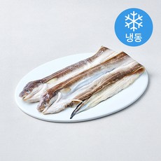 국내산 손질 다복수산 바다 장어 (냉동), 1개, 500g