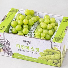 한옥토 샤인머스켓, 1개, 1kg(2송이)