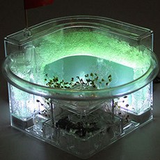 Home & Nature 螞蟻飼養套組 螞蟻窩 夜光, 1個, 綠色