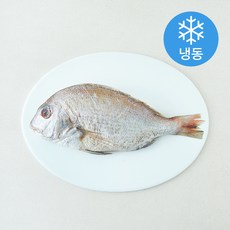 the 푸짐한 국내산 프리미엄 손질 참돔 (냉동), 1개, 450g