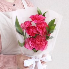 코코도르팜 생화 카네이션 꽃다발, 핫핑크