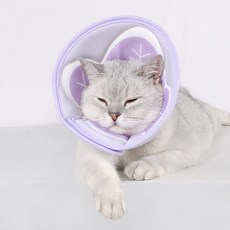 PASTEL PET 寵物花朵充氣頸圈, 紫色