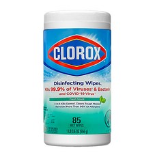 CLOROX 高樂氏 居家殺菌濕紙巾 清新香, 85片, 1罐