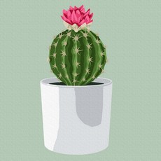 Play about 名畫繪製 DIY 套組 花卉仙人掌 數字油畫 20 x 20 cm, 混合色, 1個