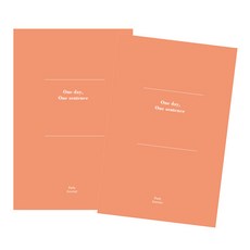 indigo One Day One Sentence萬年日記本, 橘色