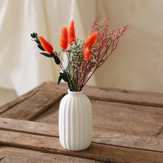 ScentBasket 兔尾草永生花 + 條紋陶瓷花瓶套組, 紅色