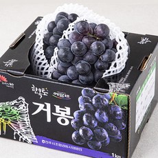 한옥토 거봉, 1개, 1kg(2송이)