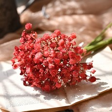 GAPANG 乾花噴霧 3 號 DRYE010, 紅色的