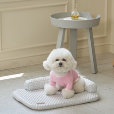 레드퍼피 반려동물 라피네 쿠션, 펄그레이, 1개