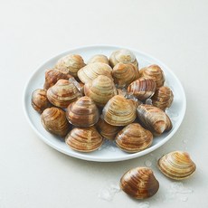아라보감 생물 백합조개 (냉장), 1개, 1.5kg