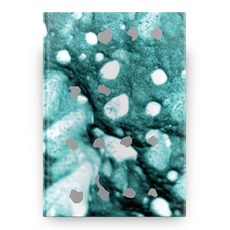 秘密湖泊與塵捲風, 螺旋出版, 不適用