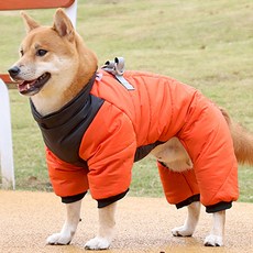 Mungtem 狗狗連身羽絨衣, 橘色