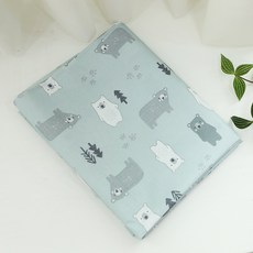 Daeil Company Dae-yeon 防水布料 Kino熊, 116 薄荷綠, 1個