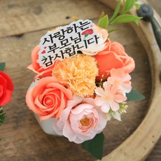 센트바스켓 러브포유 미니 센터피스 카네이션 비누꽃 화분, 코랄, 1개