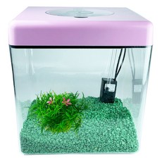 Rora Pet 壓克力方形LED魚缸+彩石+人造水草 2件組 L號, 隨機發貨（魚缸），avegreen（石頭）