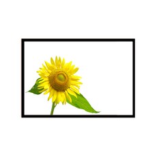 알루미늄 액자 + 포스터 머니플라워 G 세트, 블랙, 1개