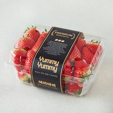 여미야미 금실딸기 중과, 1개, 500g