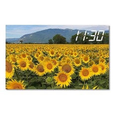 홈마인 캔버스 프린팅 액자 시리즈 LED 시계 해바라기 풍경 800 x 500 mm, 9