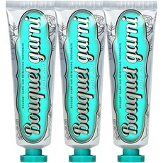 BOUQUET GARNI 清新薄荷牙膏, 100g, 3個