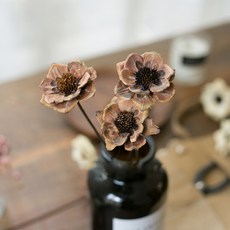 GAPANG 乾花 DRYB072, 04號（棕色）