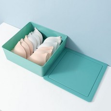 Star 彩色分隔收納盒 單件 + 蓋子, 12 薄荷綠, 1個