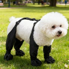 딩동펫 반려동물 레깅스 방수 장화, 블랙, 1개