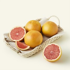 미국산 플로리다 자몽, 1개, 1kg