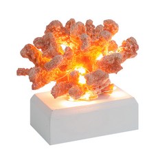 Clean Mama 海洋珊瑚礁室內裝飾氛圍燈, 黃色