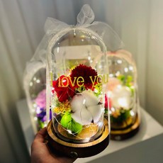 Lovely Farm 永生花玻璃罩夜燈, 紅色