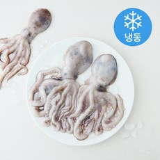 The더착한 활낙지 (냉동), 1개, 850g(200~300g)