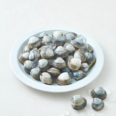 바다림 중국산 생물 동죽조개, 1개, 800g