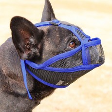 요런개 강아지 외출 시 편안한 입마개 S, 05 블루, 1개