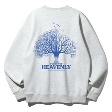 ALVINCLO 天堂森林寬鬆大學T MAR858