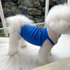 매그독 강아지 비비드 민소매 티셔츠, 블루, 1개