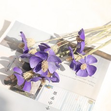 GAPANG 乾花DRYJ012, 紫色數字 04