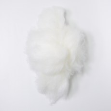 정글살롱 강아지 머리 미용 위그털, 1개