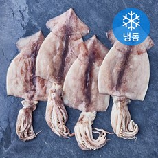 손질 김씨밥 오징어 대 (냉동), 1개, 900g