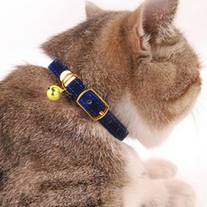 딩동펫 반려동물 솔리드 방울 목걸이 목줄, 블루, 1개