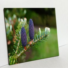 UDP 瓷磚畫框 A型 334011, 單一顏色