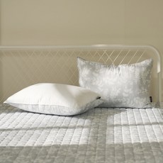 배딩 제시아 냉감 시원한 여름 패드 겸 카페트, 그레이