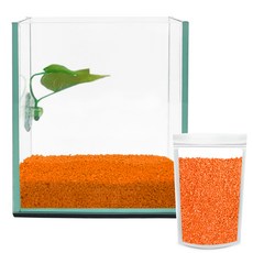 Aquatera Beta玻璃魚缸+Beta床+彩石1kg CH-G150, 橙色（彩石）