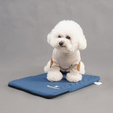 REDPUPPY 寵物籠防水墊, 藍色